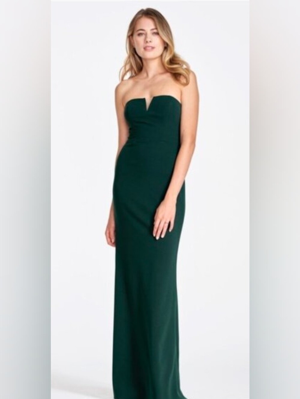 Watters NWT Designer Evergreen Holiday Maxi Gown Dress Size 8 #08800